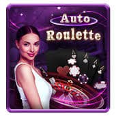 casinonew বাজির গাইডের নীয়ন তথ্যচিত্র